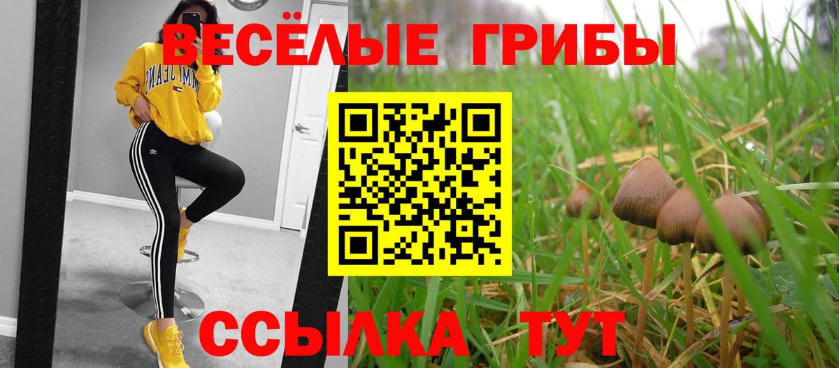 Галлюциногенные грибы ЛСД Заволжье